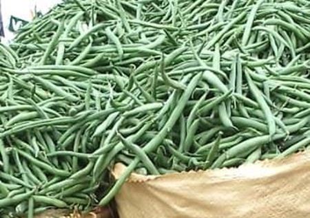 Picture for category GREEN BEANS