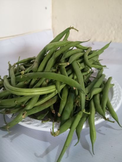 Picture of Green Beans