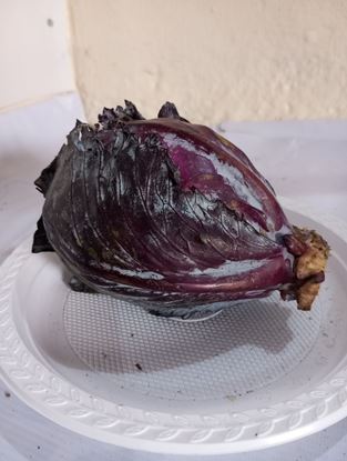 Picture of Purple Cabbage