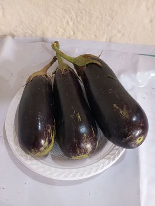 Picture of Egg Plant