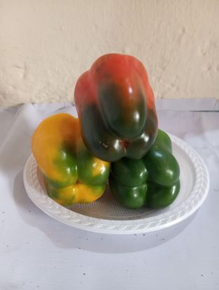 Picture of Red ,Yellow and Green Bell Pepper(KG)