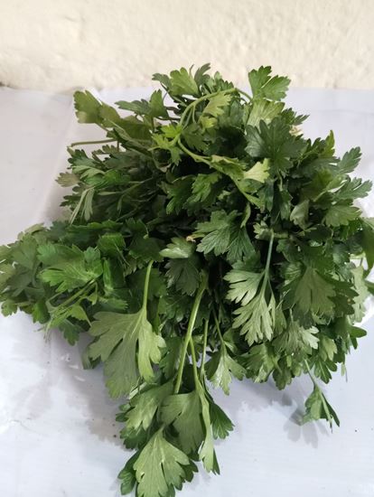 Picture of Parsley