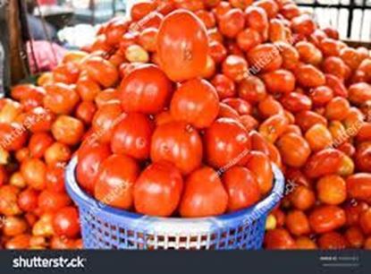 Picture of Tomatoes(1 bag)