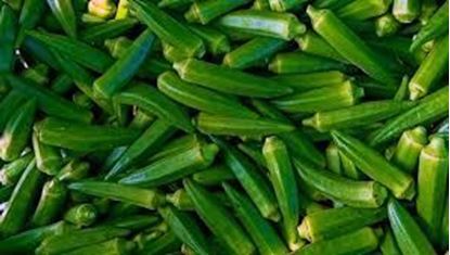 Picture of Okra